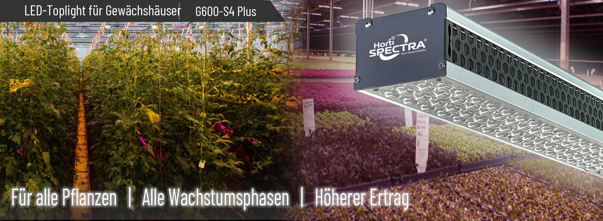 30fdcf60f1d226f81cf9600aa93c1ecc