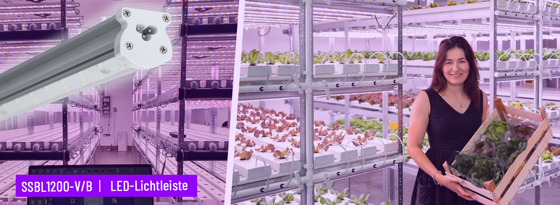 4a1ac72f75ad509011830ab51ca73bab